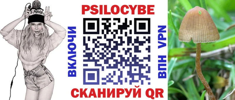 Галлюциногенные грибы MAGIC MUSHROOMS  Ясный 